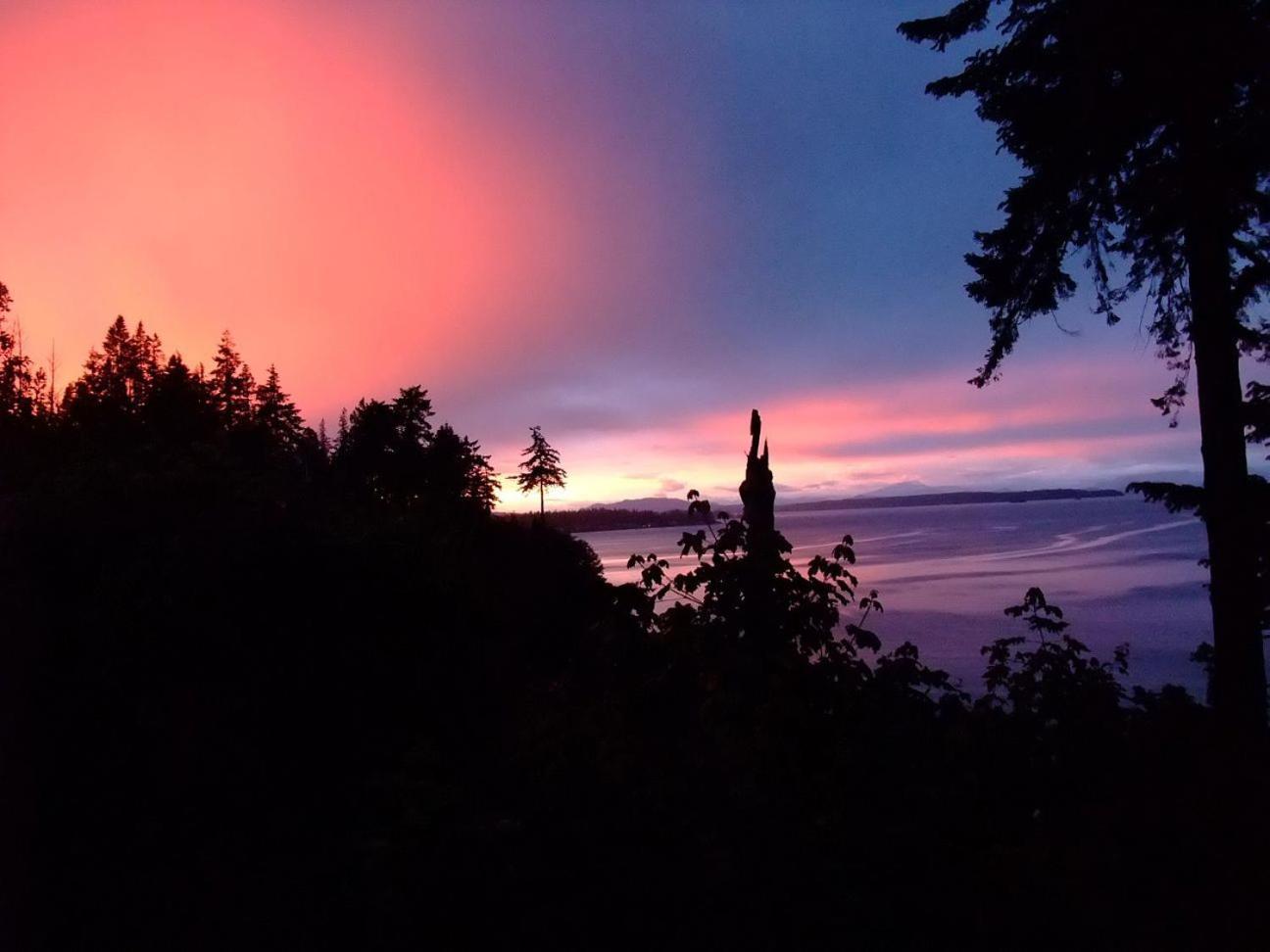 Edgewater Motel Campbell River Bagian luar foto