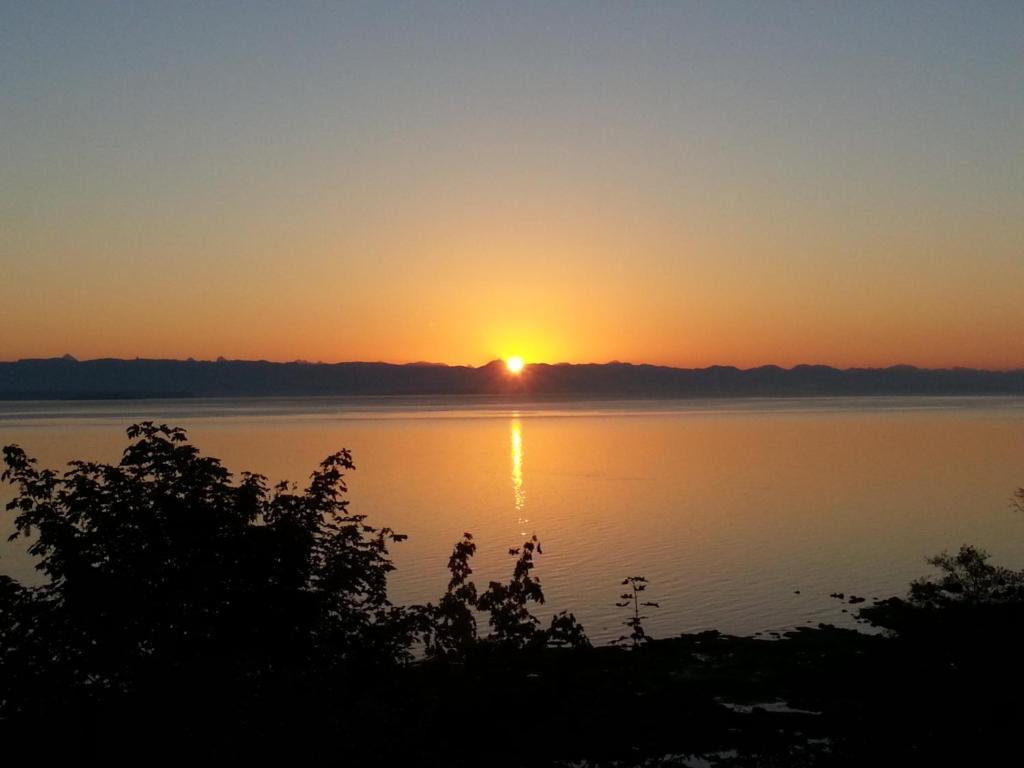 Edgewater Motel Campbell River Bagian luar foto